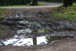 Великие Луки после дождичка в четверг (ФОТО)