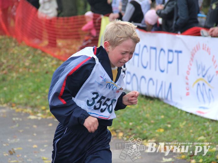 Кросс нации