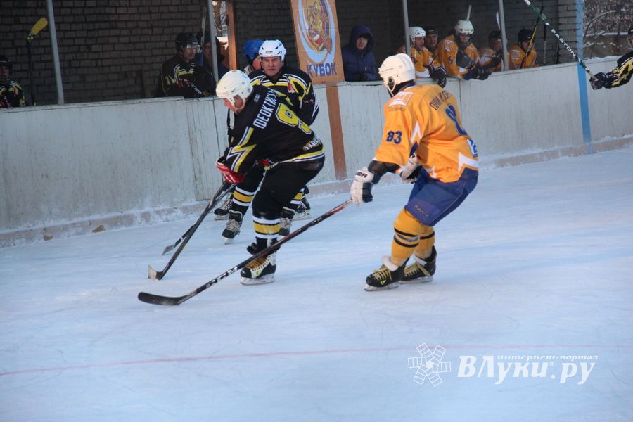 Великолукские хоккеисты разгромили гостей (фото)