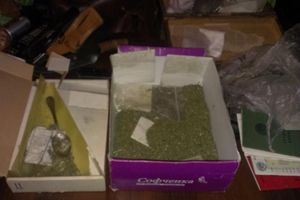 В Псковской области у местной банды полиция изъяла марихуану, оружие и муляж гранаты (ФОТО)