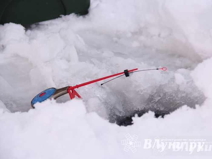 Подведены итоги Открытого чемпионата Великих Лук по рыболовному спорту (фото)