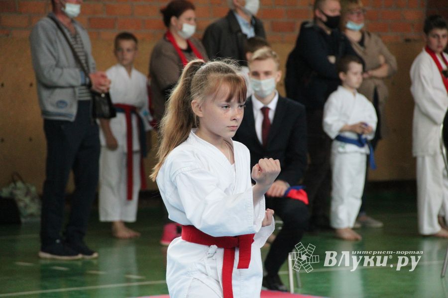 Открытый Кубок города Великие Луки по каратэ WKF (ФОТО)