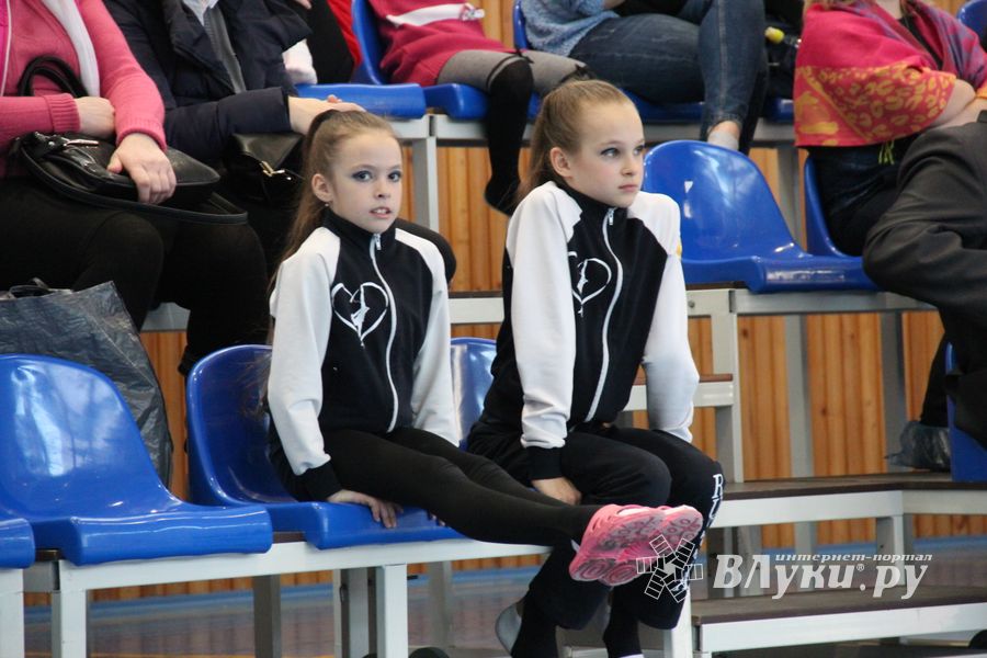 Кубок города Великие Луки по художественной гимнастике (ФОТО)