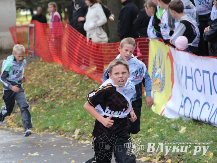 Кросс нации