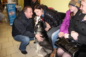 Всероссийская выставка собак в Великих Луках (фото)