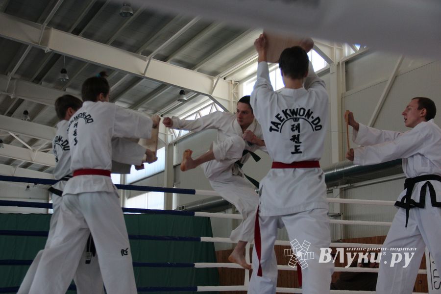 В Великих Луках проходит открытый кубок по смешанному боевому единоборству ММА (ФОТО) (12+)