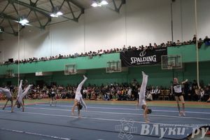 «Парад гимнастики» прошел в Великих Луках (фото)