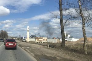 В Псковской области возобновились палы травы (ФОТО)