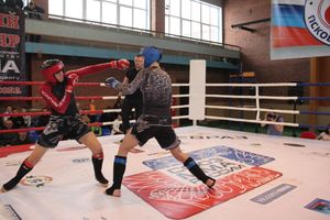 В Великих Луках прошел международный открытый Кубок по смешанному боевому единоборству (ФОТО) (16+)