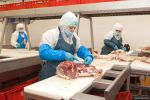 Великолукский мясокомбинат намерен расширить производство при поддержке государства (фото)