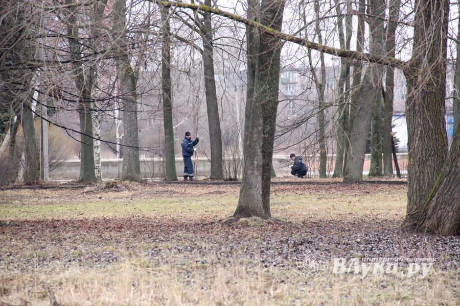 В Великих Луках в Парке культуры и отдыха полным ходом идёт подготовка празднования Масленицы (фото)