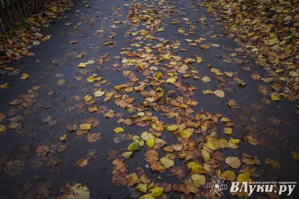 Прогноз погоды в Великих Луках на 4 ноября