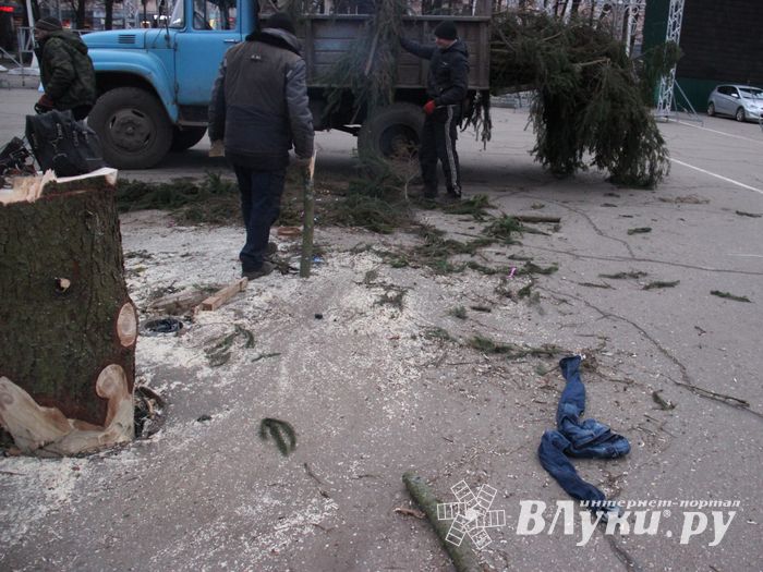 Необычное украшение сняли с главной ёлки Великих Лук (ФОТО)