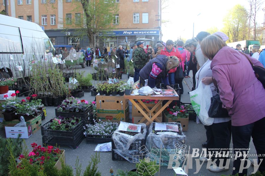 Традиционная весенняя ярмарка прошла в Великих Луках