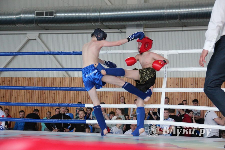 В Великих Луках прошел Кубок области по кикбоксингу (ФОТО)