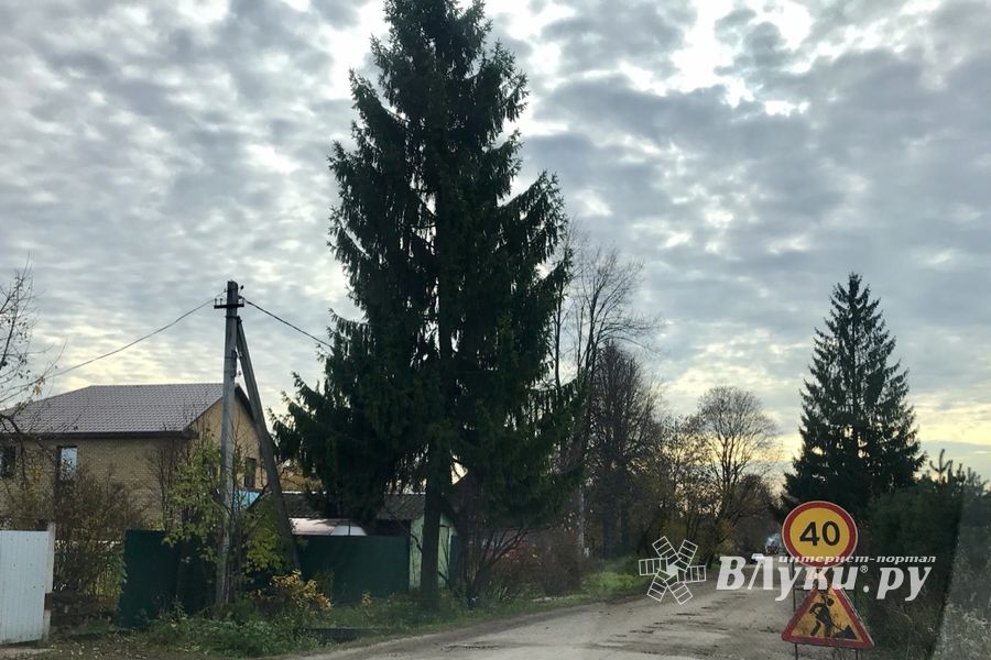 На улице Зенцовской потеряли асфальт (ФОТО)