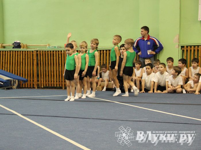 В Великих Луках состоялось Первенство по командной гимнастике (фото)