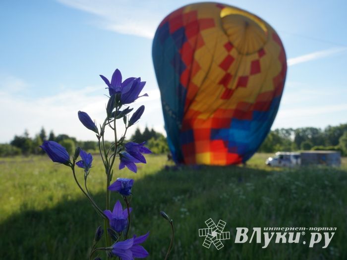 МВВвВЛ: Идеальное утро 10 июня (фото)