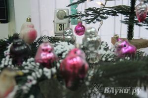 В Великих Луках открылась выставка «Новый год из детства» (фото)