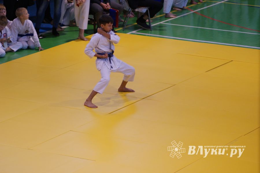 В Великих Луках прошли соревнования по каратэ (ФОТО)