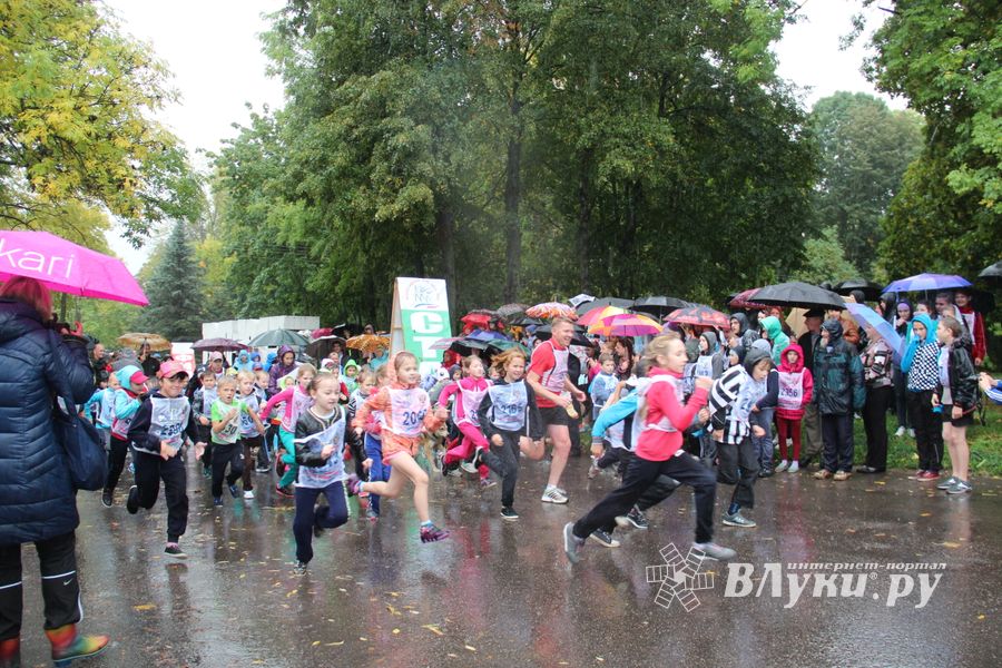 В Великих Луках прошел «Кросс Нации - 2015» (фото)