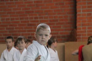 Турнир по каратэ