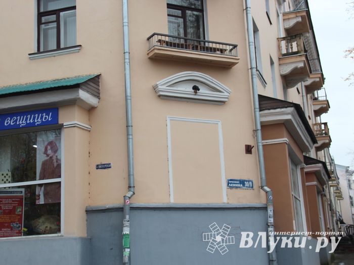 В Великих Луках появился чёрный кот (ФОТО)