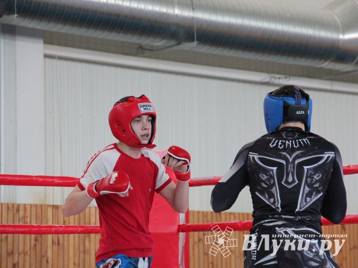 В Великих Луках проходит открытый кубок по смешанному боевому единоборству ММА (ФОТО) (12+)