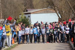 В Великих Луках прошёл легкоатлетический кросс (ФОТО)