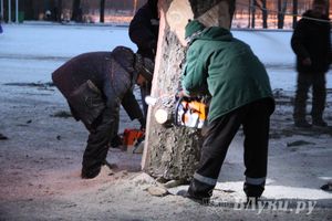В Великих Луках установили новогоднюю елку (фото)