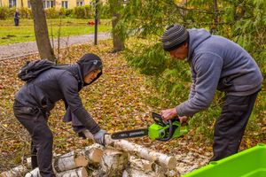 Фото: компания Greenworks