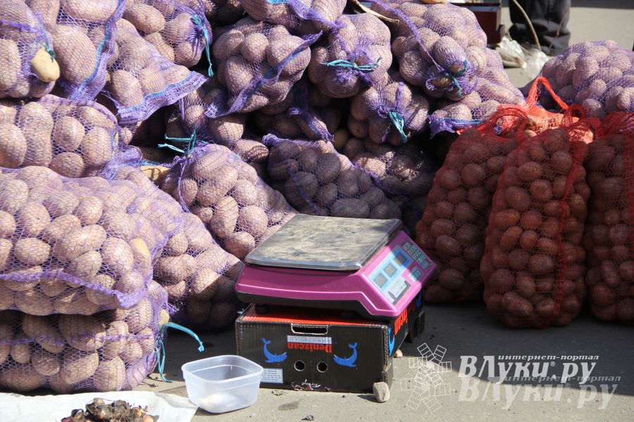 Универсальная торговая ярмарка «Весна-2015» прошла в Великих Луках (фото)