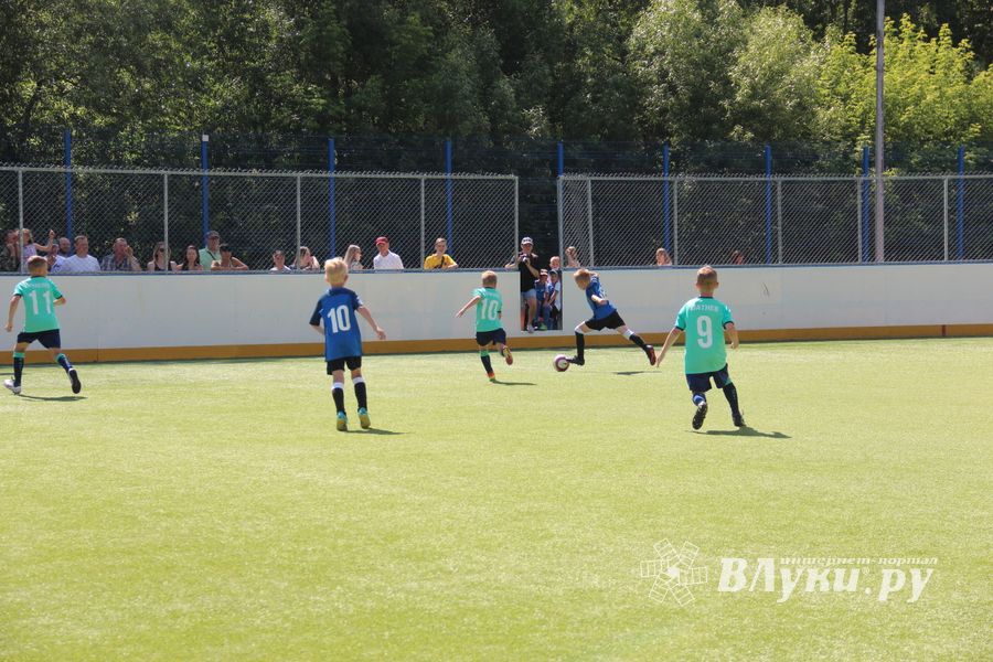 В Великих Луках прошёл Олимпийский День (ФОТО)
