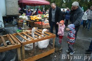 ​Универсальная торговая ярмарка «Осень – 2014» состоялась  в Великих Луках