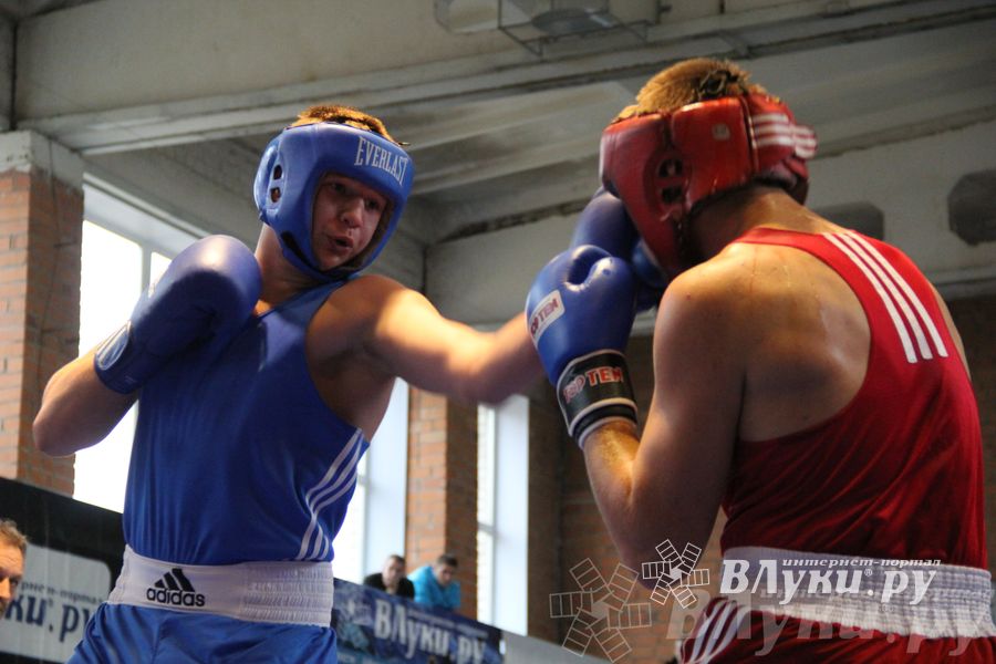 16-й Международный турнир по боксу (фото)