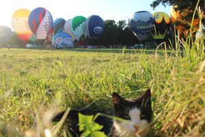 Состоялся спортивный старт аэростатов из Крепости (ФОТО)