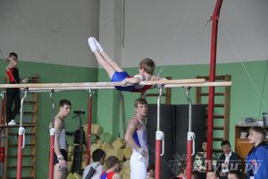 В Великих Луках прошел турнир по спортивной гимнастике (фото)