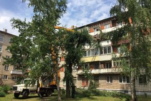 Небезразличные великолучане помогают убрать город после урагана (ФОТО)