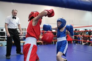 В Великих Луках завершились соревнования по боксу (ФОТО)