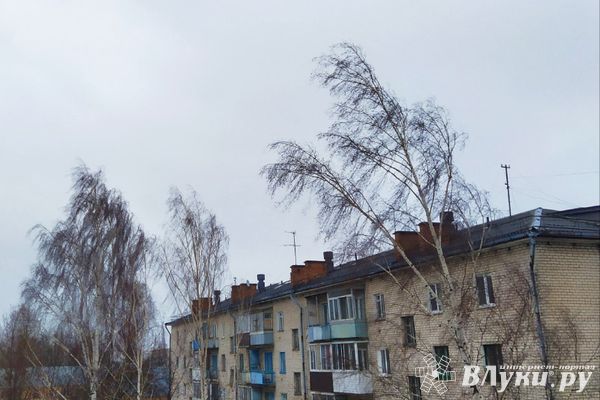 В субботу Псковская область примет на себя удар стихии