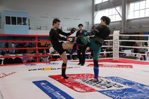 Открытый кубок по смешанному боевому единоборству ММА прошел в Великих Луках (ФОТО)