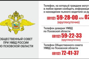 В Псковской области прошла акция «Трезвый водитель» (фото)