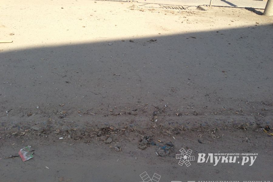 Весне дорогу!