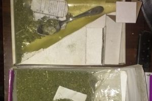 В Псковской области у местной банды полиция изъяла марихуану, оружие и муляж гранаты (ФОТО)