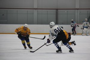 Две великолукские команды хоккеистов одержали победы в домашних матчах (ФОТО)