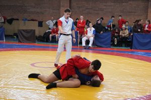 Великолукские самбисты завоевали 45 медалей на открытом первенстве города (ФОТО)