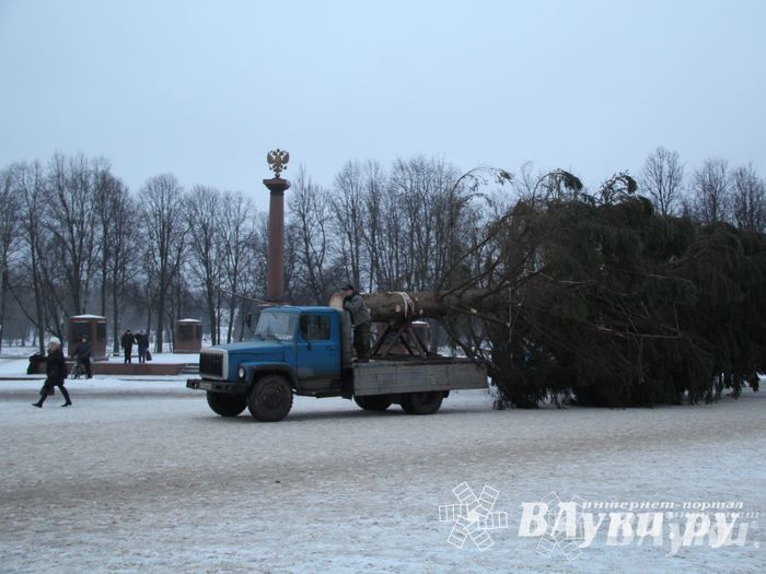 В Великих Луках установили новогоднюю елку (фото)