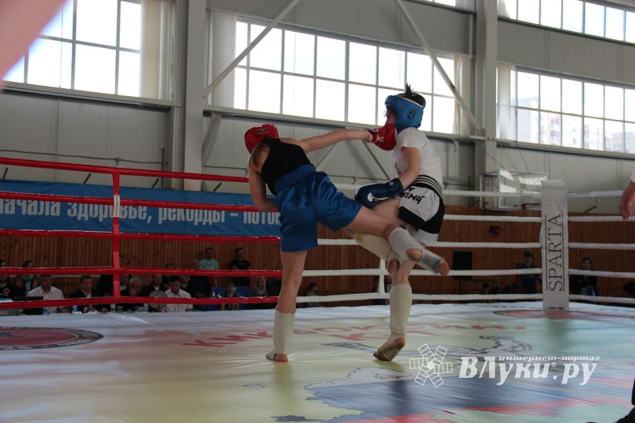 В Великих Луках прошел Кубок области по кикбоксингу (ФОТО)