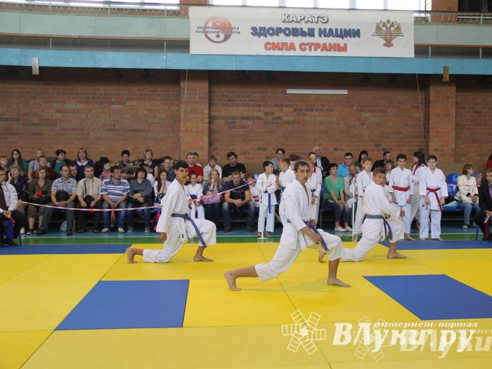 Великолучане стали победителями турнира по каратэ «Неприкосновенный запас, дети — Отчизны 2015» (фото)