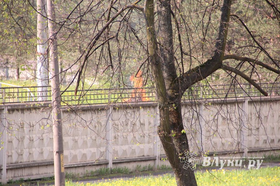 Фотофакт: не олимпийский огонь на стадионе «Великие Луки»